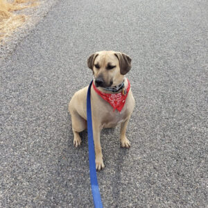 "Amazing Results" with SmartZYME - Debbie & Jack