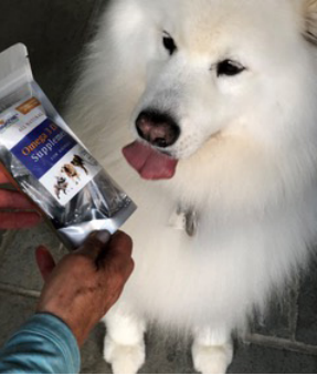 ZipZyme most disruptive pet nutrition product