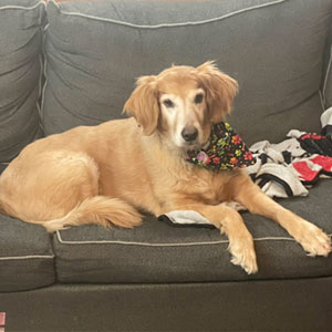 Maggie has More Energy